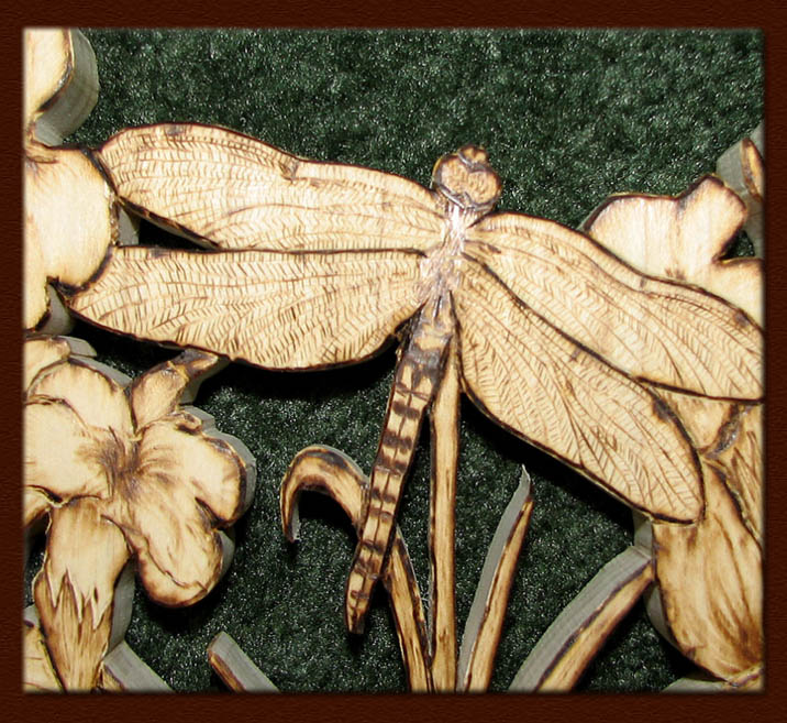 leopard frog rana details woodburning tanja sova dragonfly