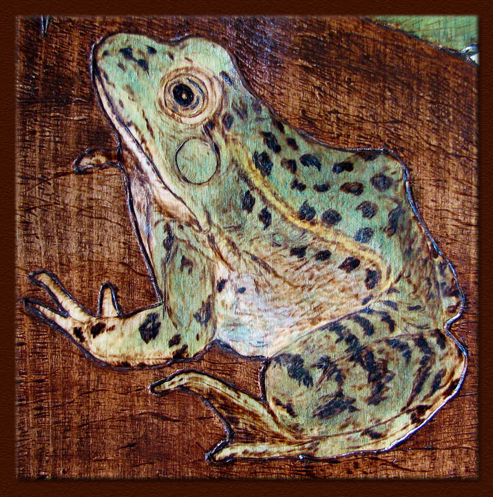 leopard frog rana details woodburning tanja sova