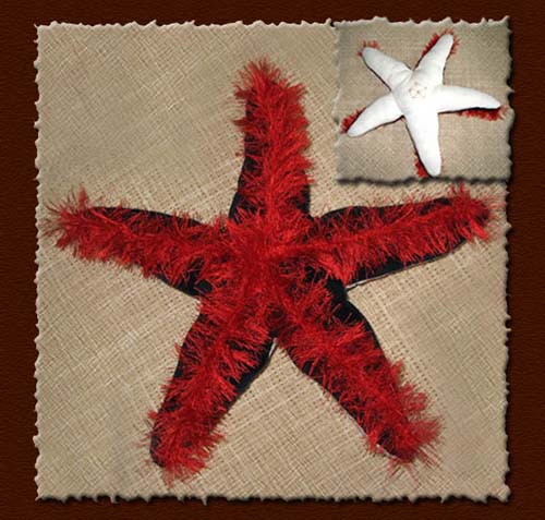 starfish tanja sova